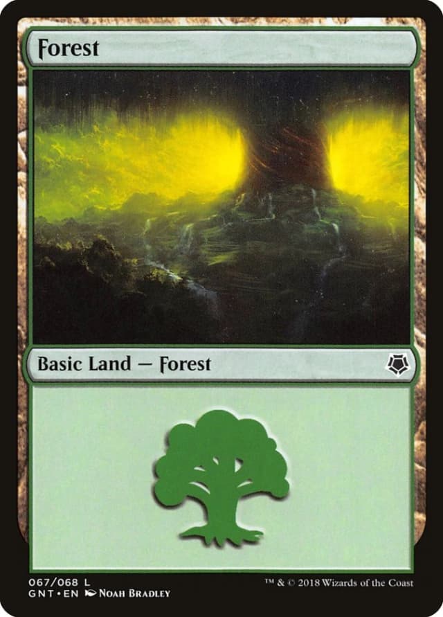 Forest image