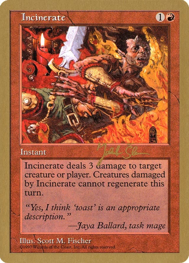 Incinerate image