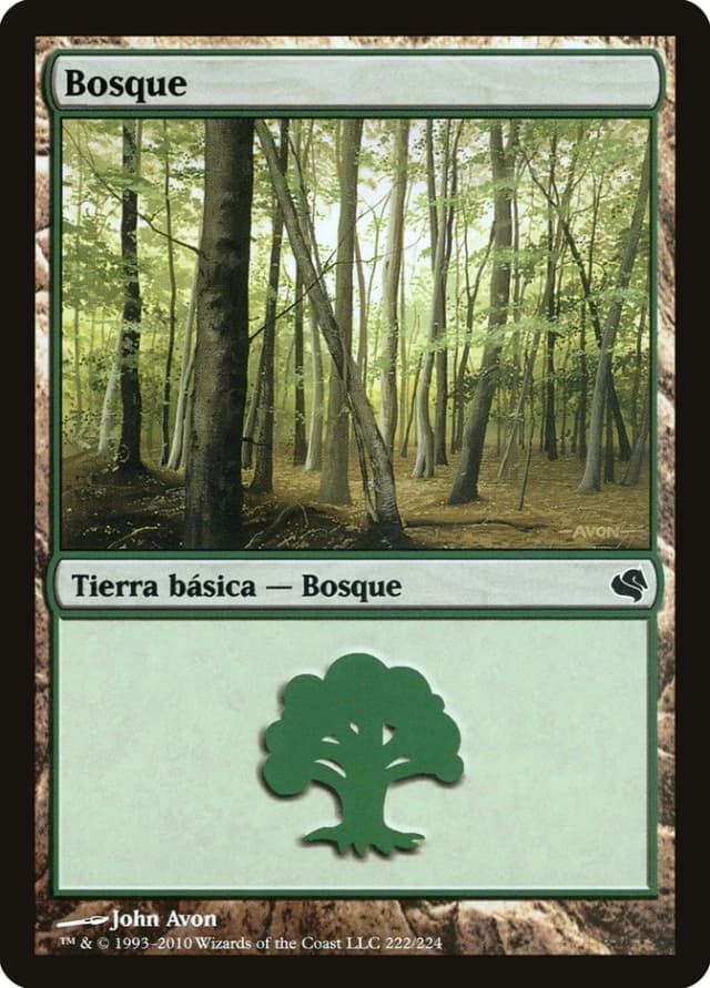 Forest image