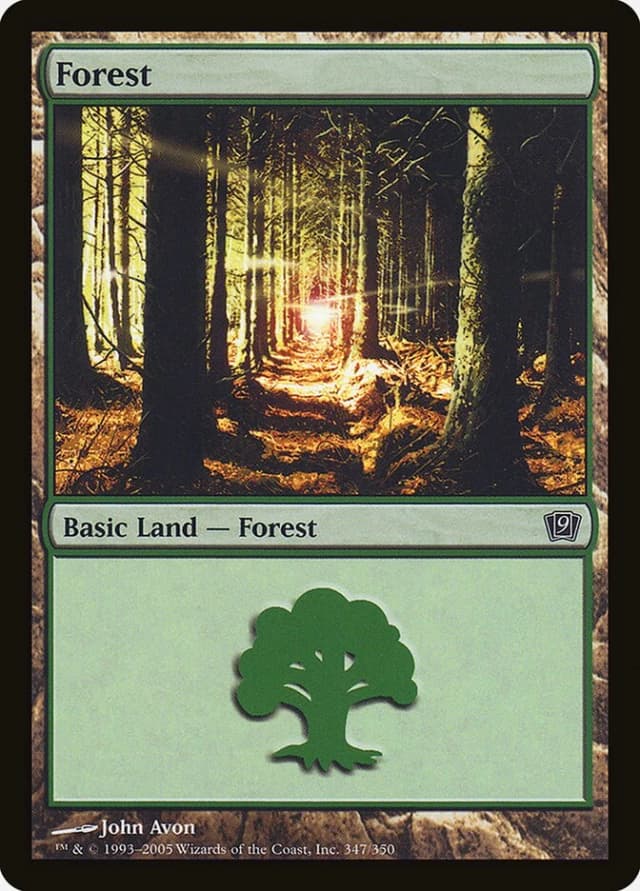 Forest image