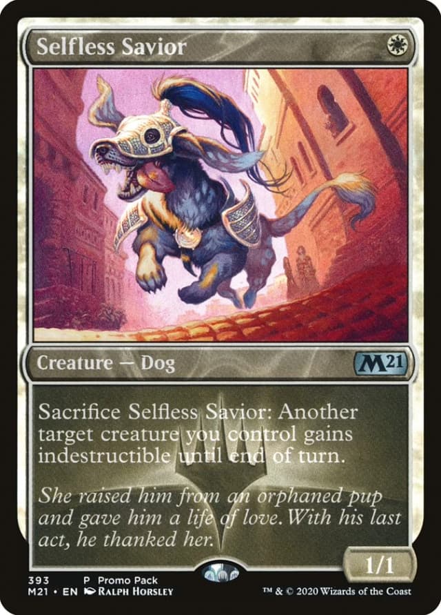 Selfless Savior image
