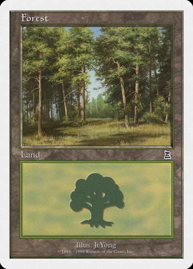 Forest image
