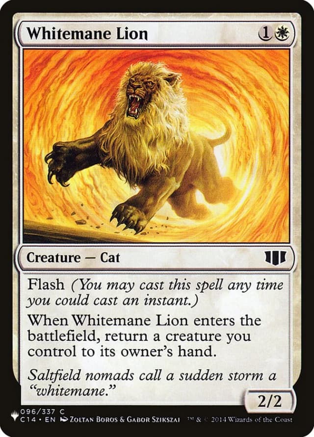 Whitemane Lion image