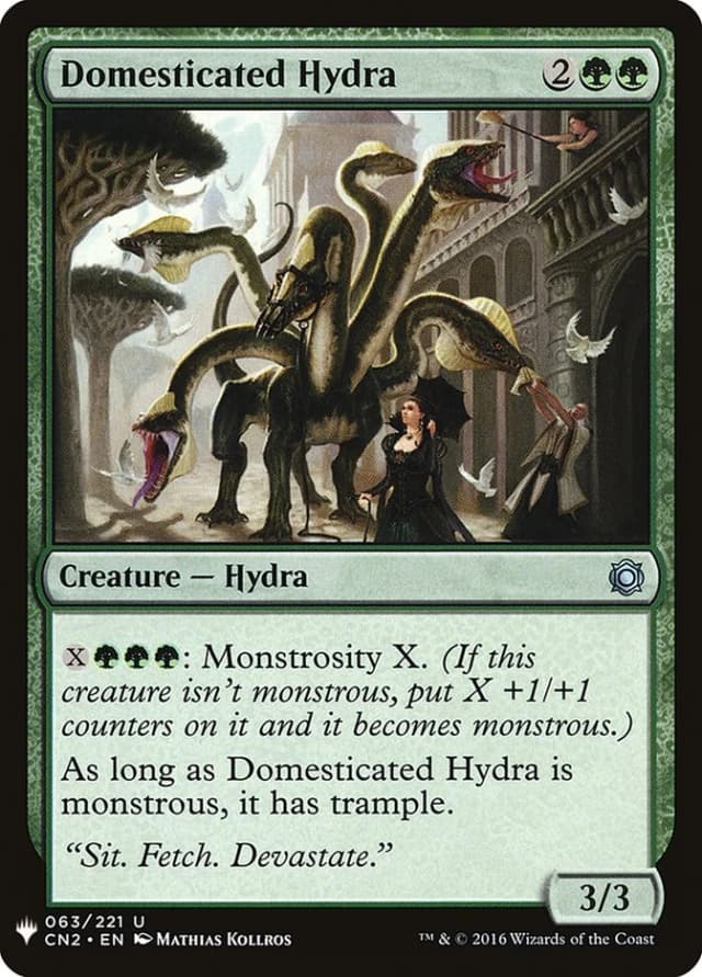 Domesticated Hydra image