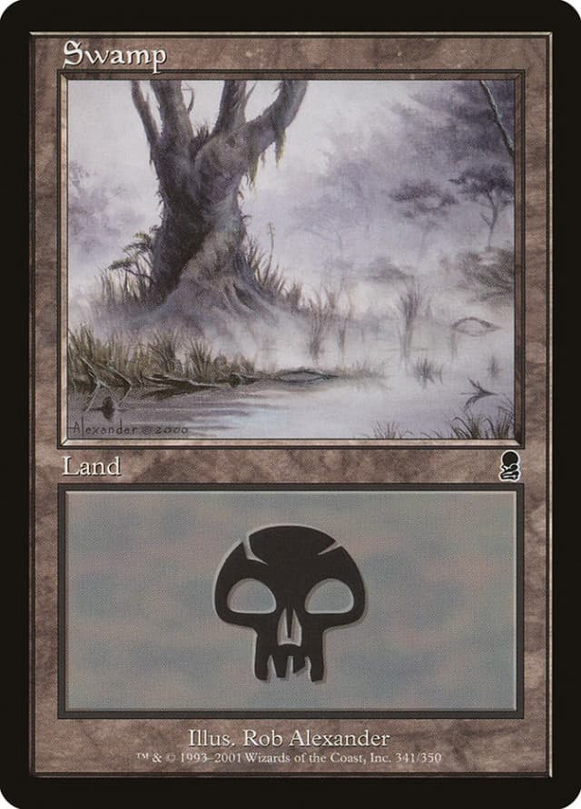 Swamp image