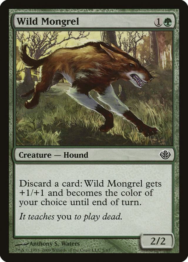 Wild Mongrel image