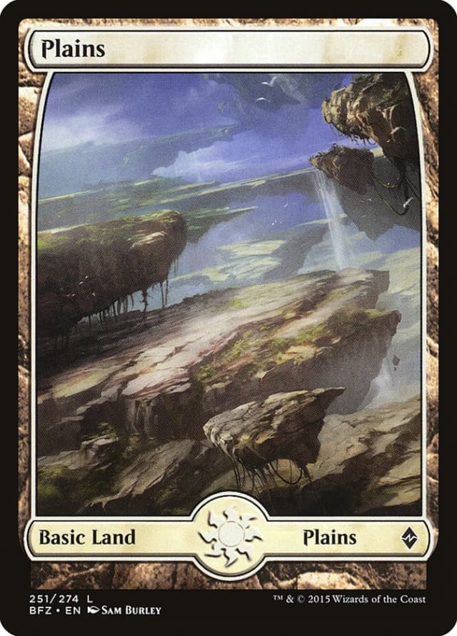 Plains image