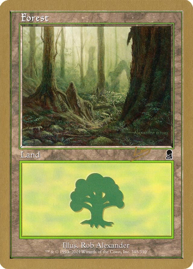 Forest image