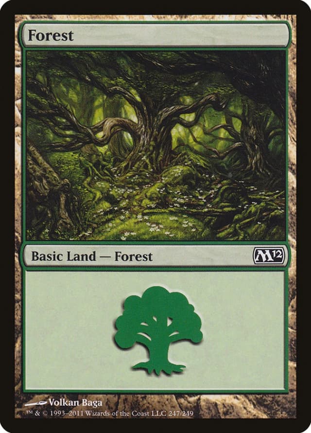 Forest image