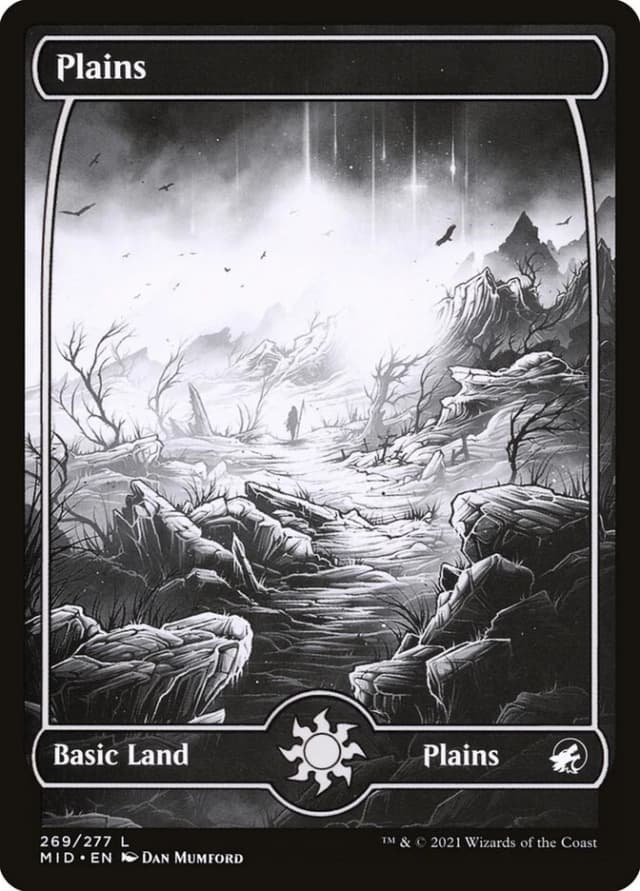 Plains image