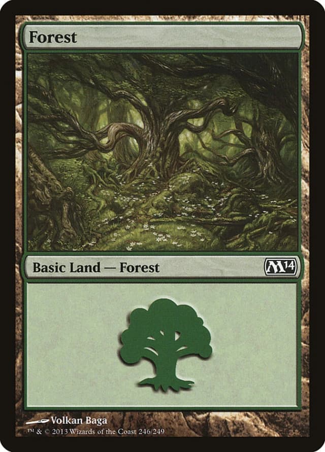 Forest image