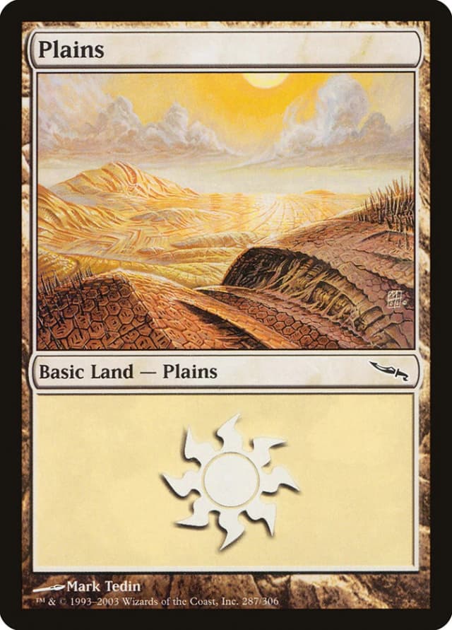 Plains image