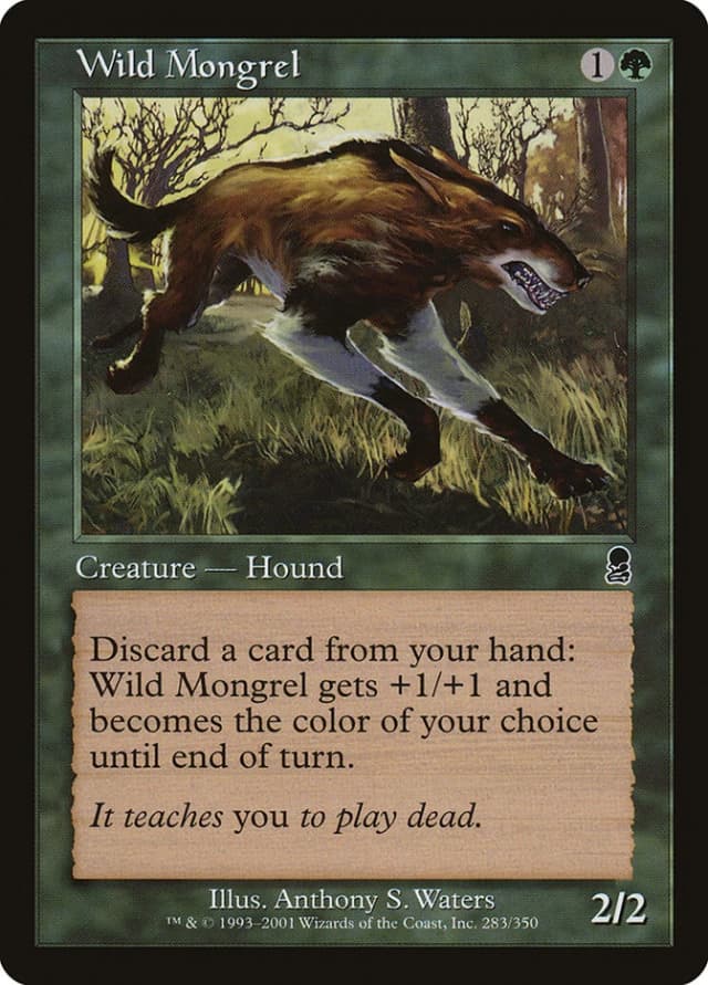 Wild Mongrel image