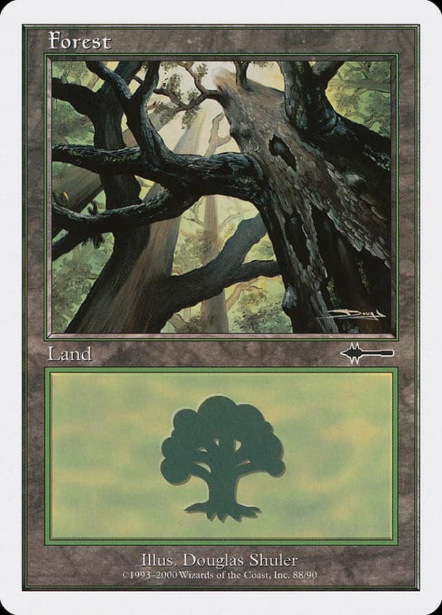 Forest image