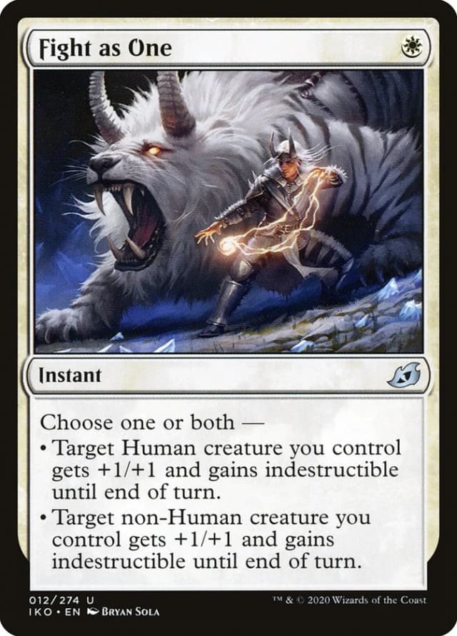 Fight as One image