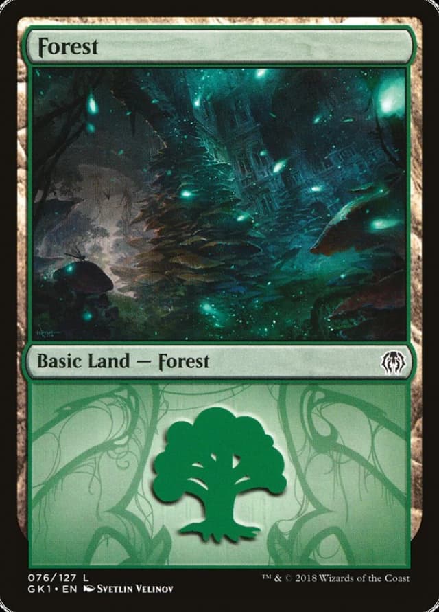 Forest image