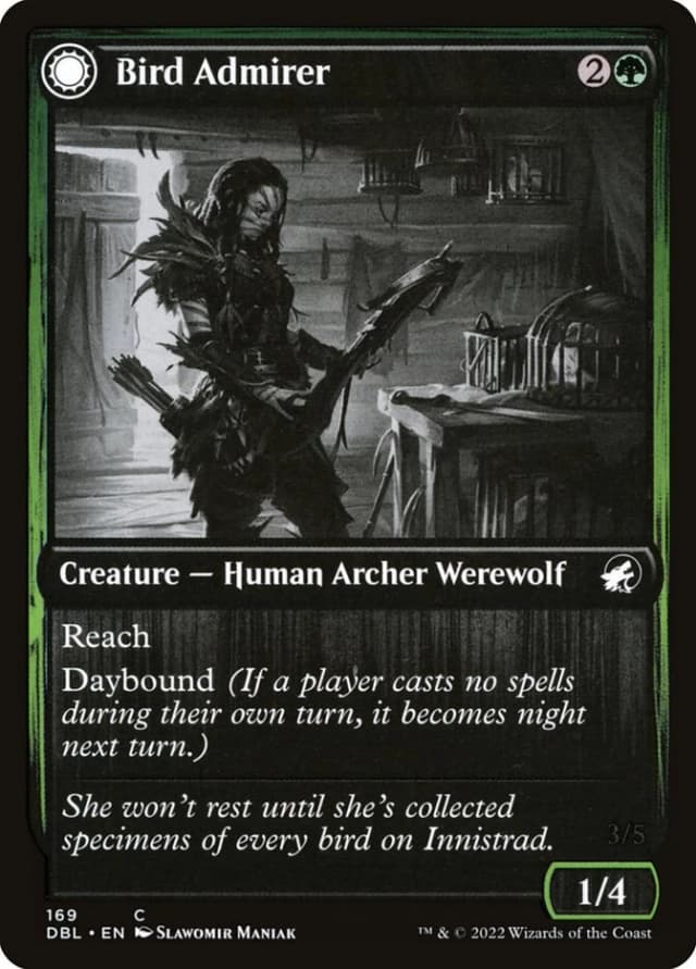Bird Admirer // Wing Shredder image