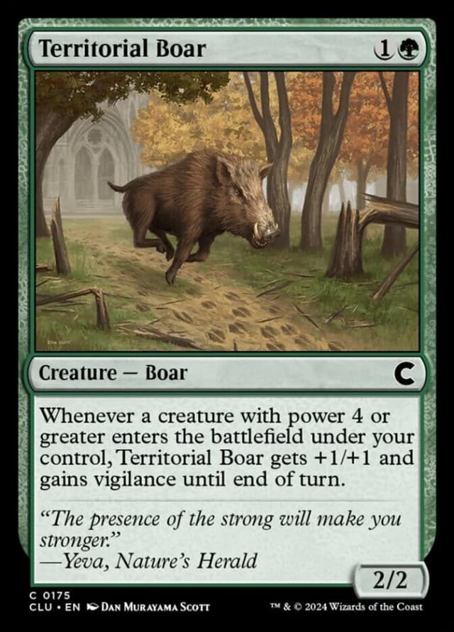 Territorial Boar image