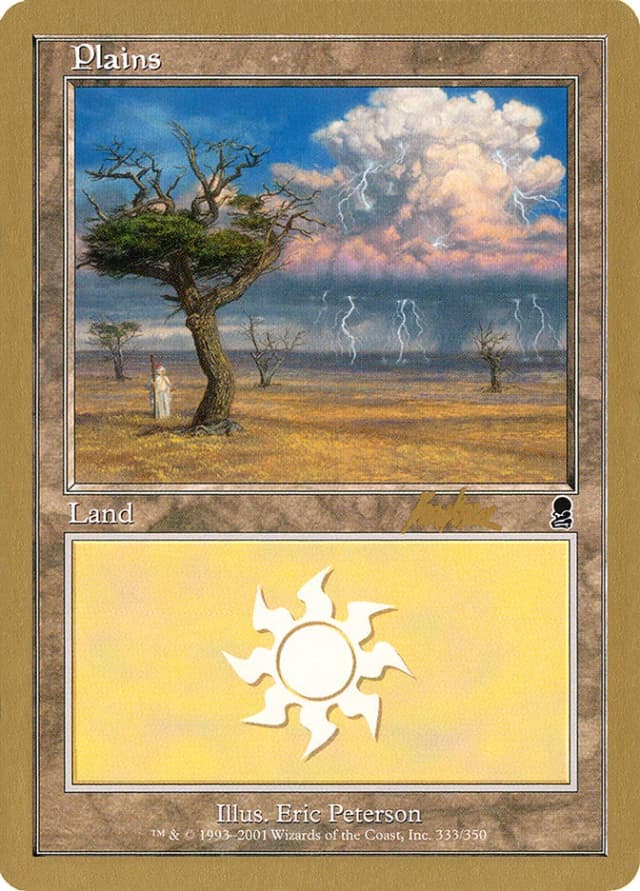 Plains image