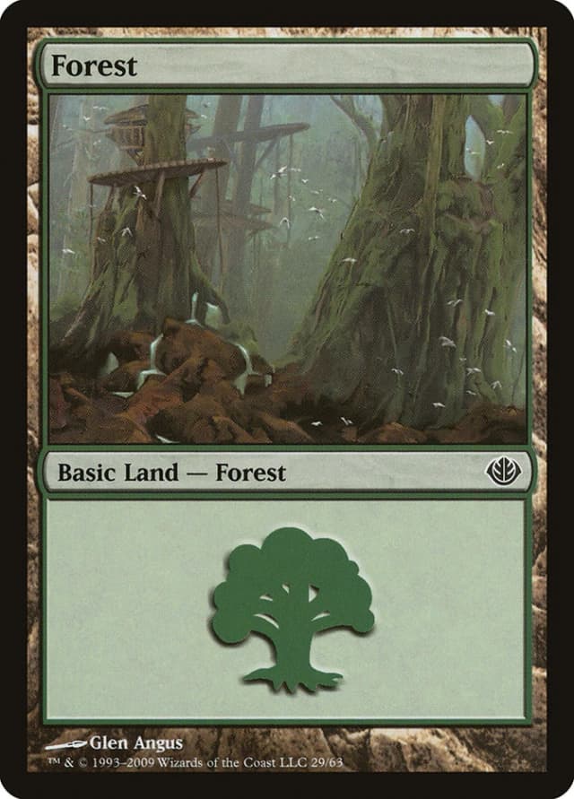 Forest image