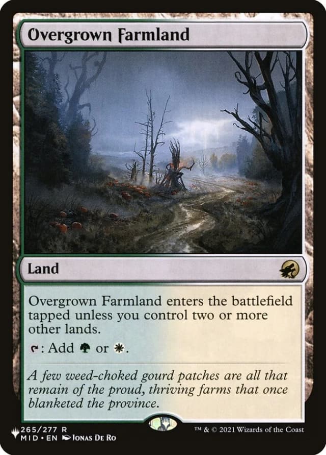 Overgrown Farmland image