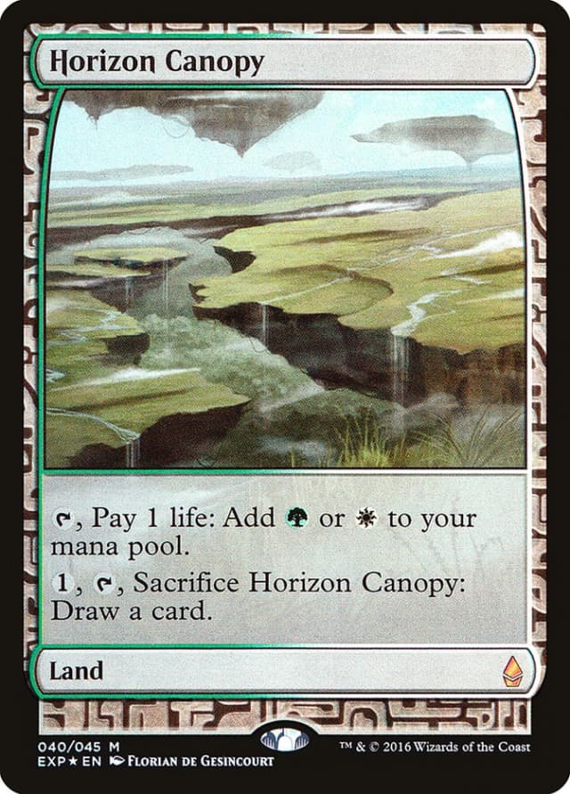 Horizon Canopy image