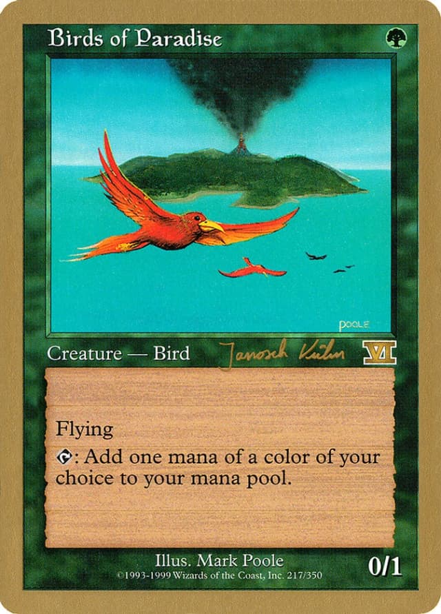Birds of Paradise image