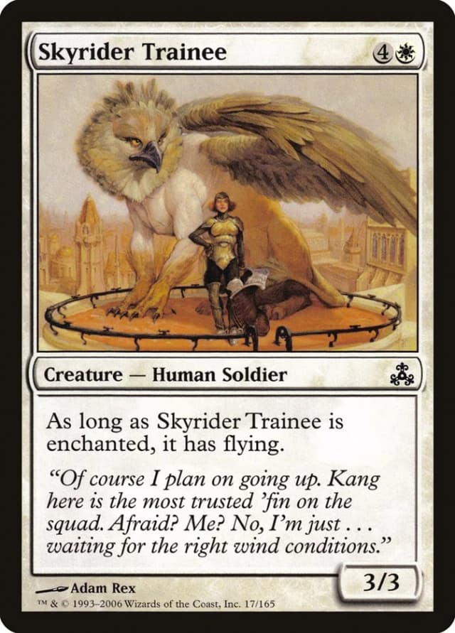 Skyrider Trainee image