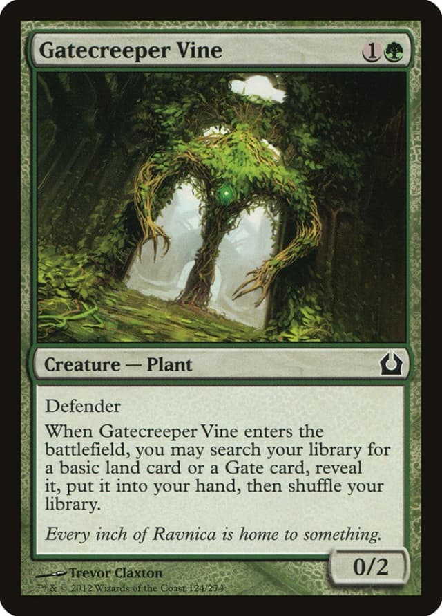 Gatecreeper Vine image