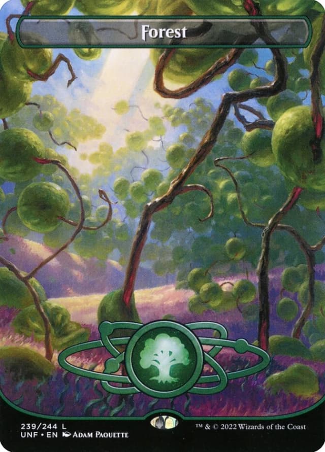 Forest image