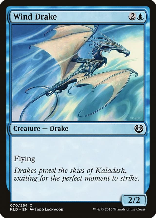 Wind Drake image