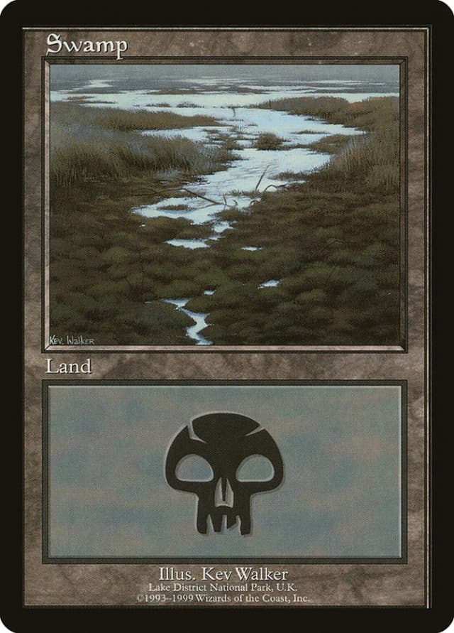 Swamp image