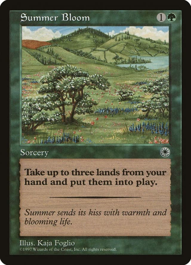 Summer Bloom image