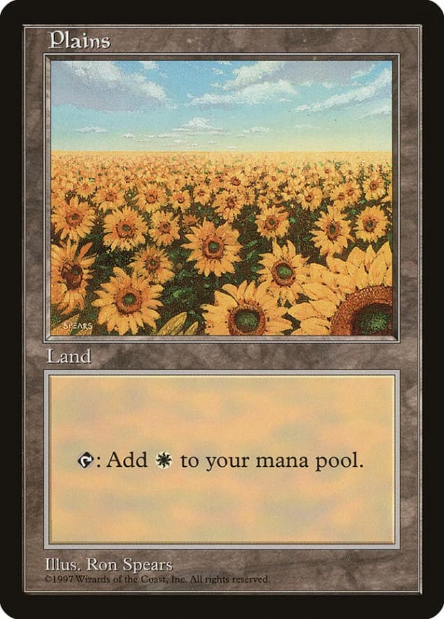 Plains image