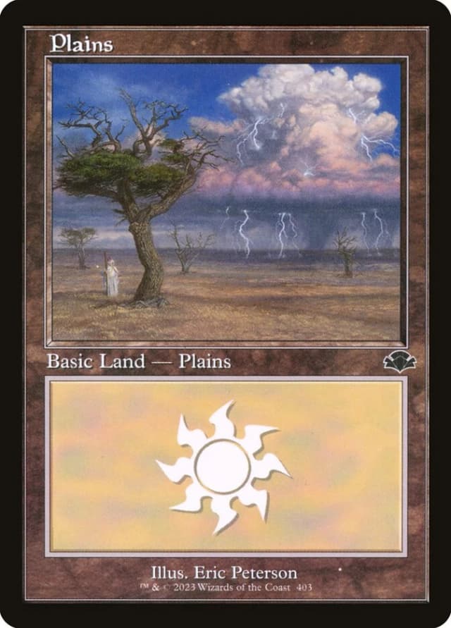 Plains image