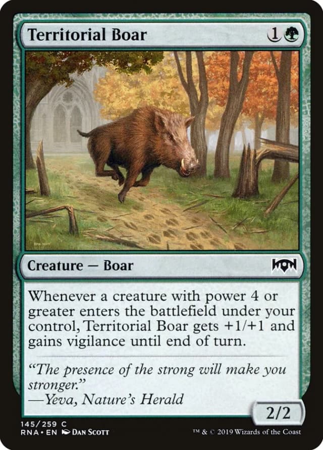 Territorial Boar image