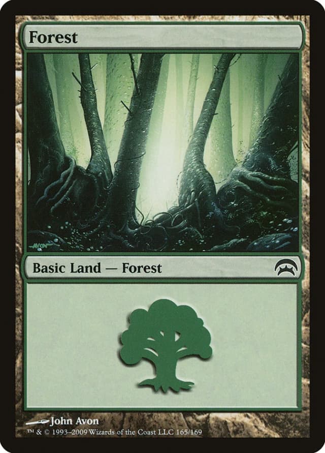 Forest image