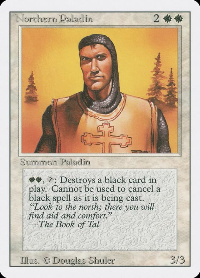 Northern Paladin image
