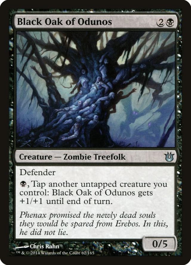 Black Oak of Odunos image