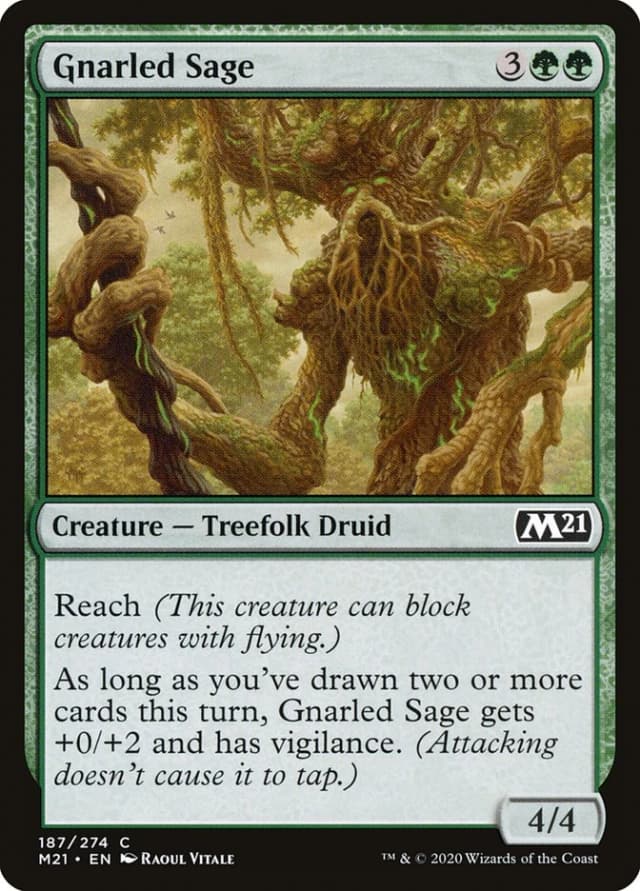 Gnarled Sage image