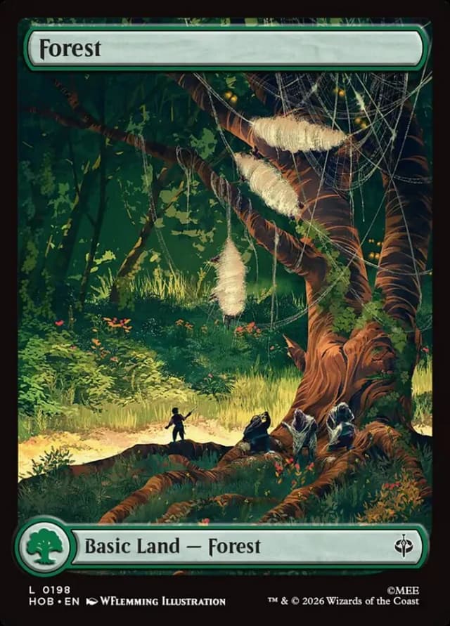 Forest image