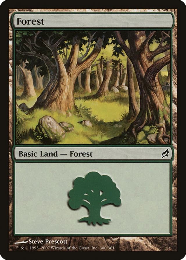 Forest image