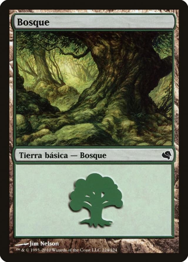Forest image