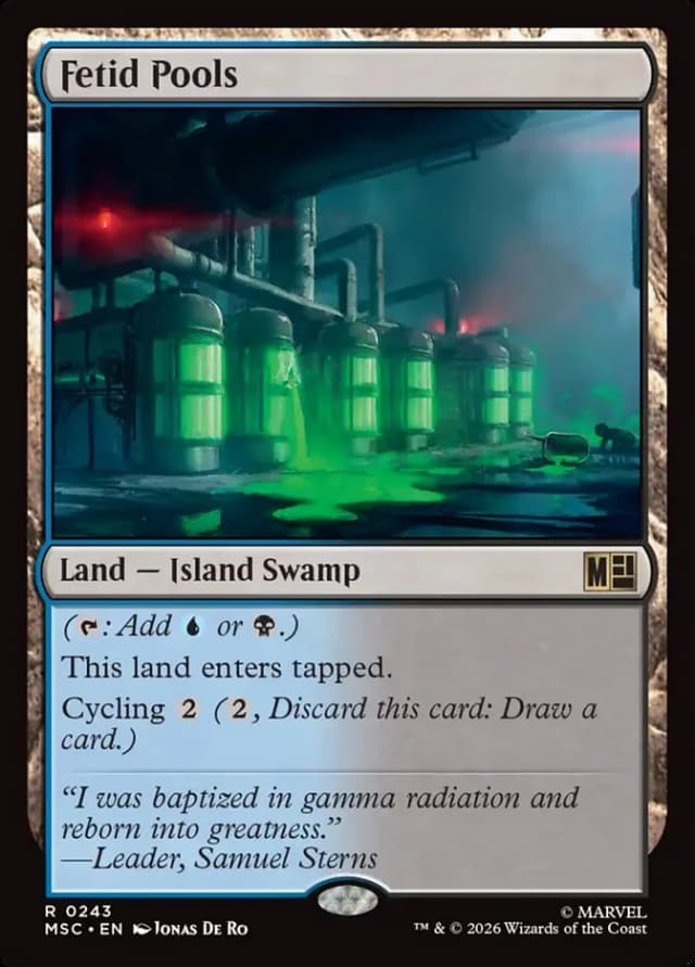 Fetid Pools image