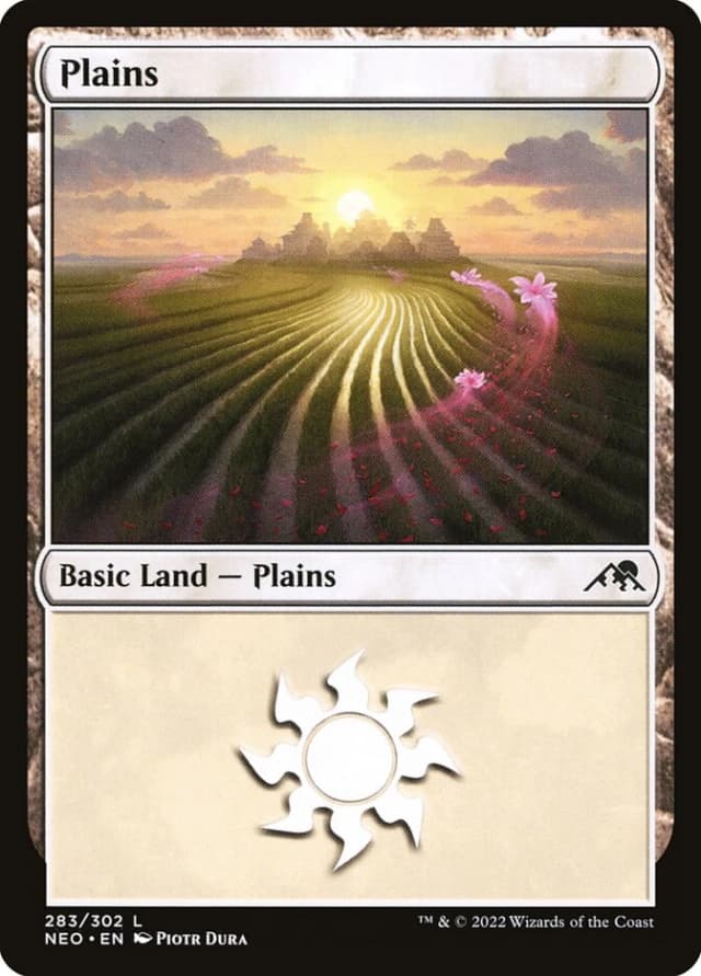 Plains image