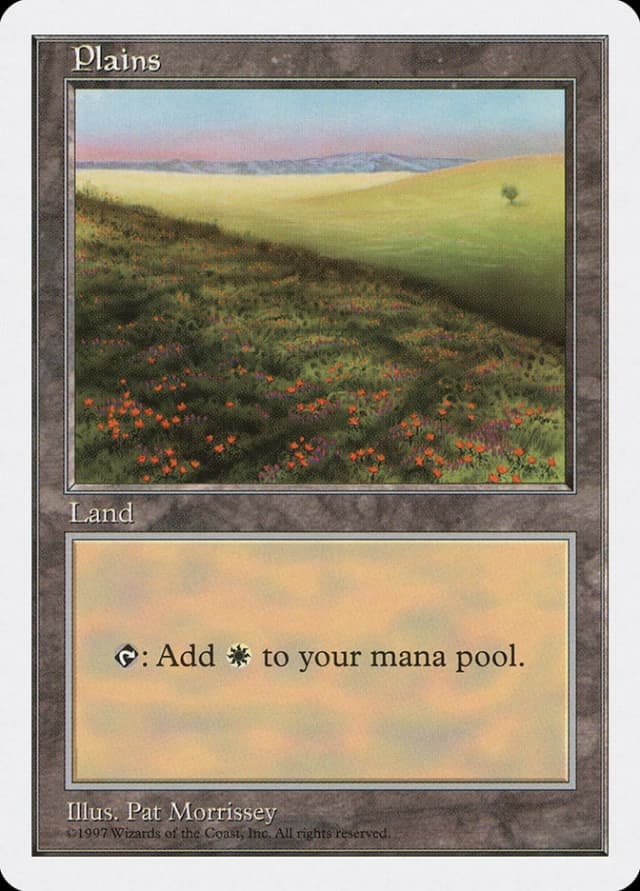Plains image