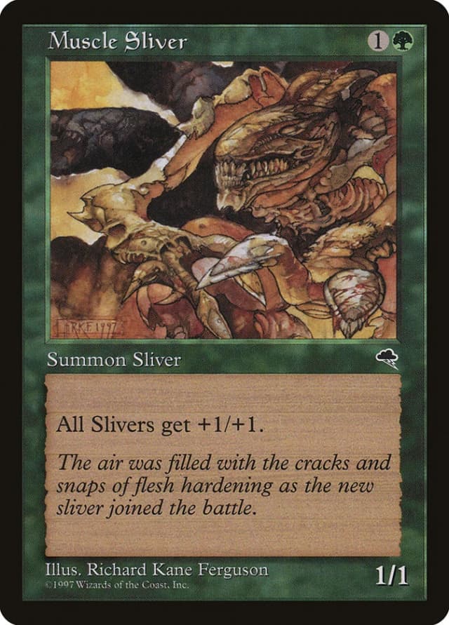Muscle Sliver image