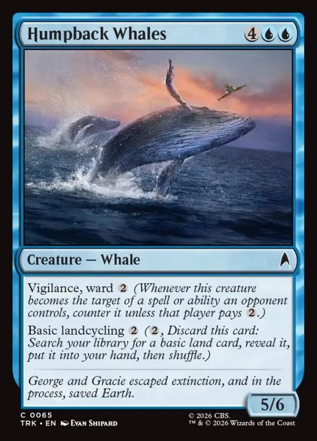 Humpback Whales image