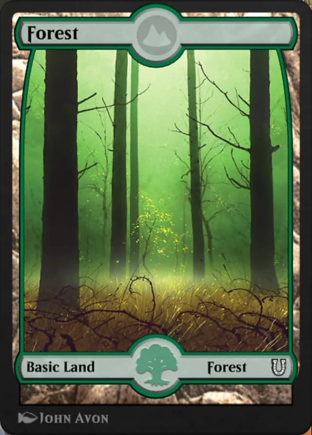 Forest image