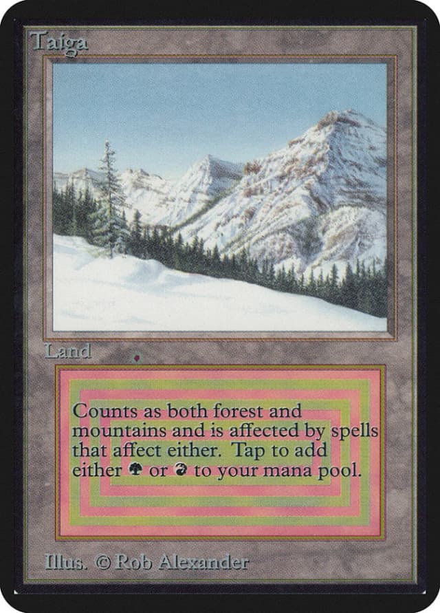 Taiga image